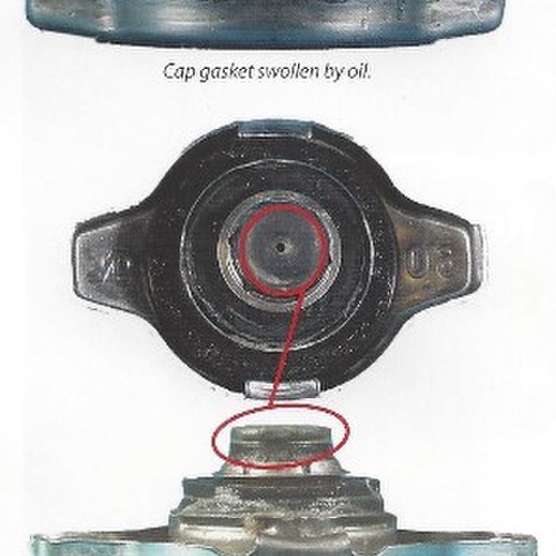 5. Radiator Cap