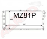 MZ81P