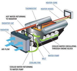 Your Car's Cooling System and it's Components