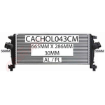 CACHOL043CM