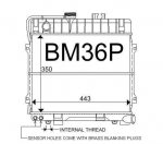 BM36P