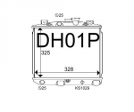 DH01P